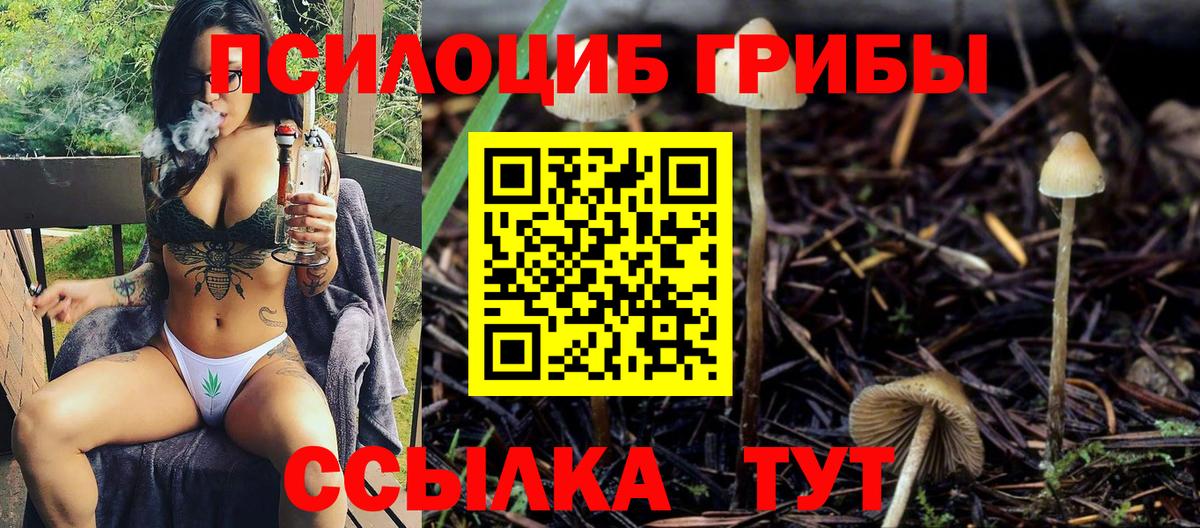 Псилоцибиновые грибы Psilocybe Анапа